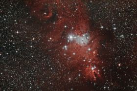 Christmas neu_3-be Farbkorrektur Hochpass.jpg